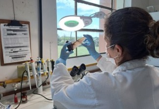 IPVDF retoma análise de amostras de brucelose bovina, raiva e certificação de granjas - Foto: Fernando Dias/Ascom Seapi