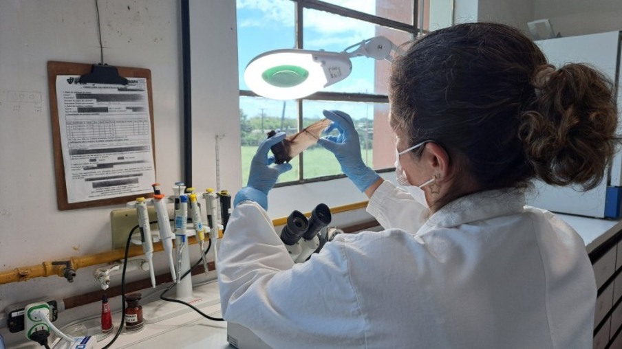 IPVDF retoma análise de amostras de brucelose bovina, raiva e certificação de granjas - Foto: Fernando Dias/Ascom Seapi