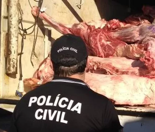 Foto: Polícia Civil/Divulgação