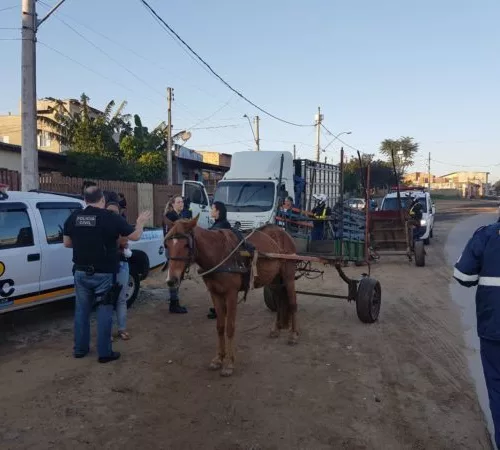 EPTC e Polícia Civil fazem operação para coibir maus tratos a cavalos. Foto: PMPA/Divulgação