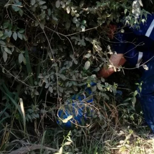 Foto: Polícia Civil/Divulgação 