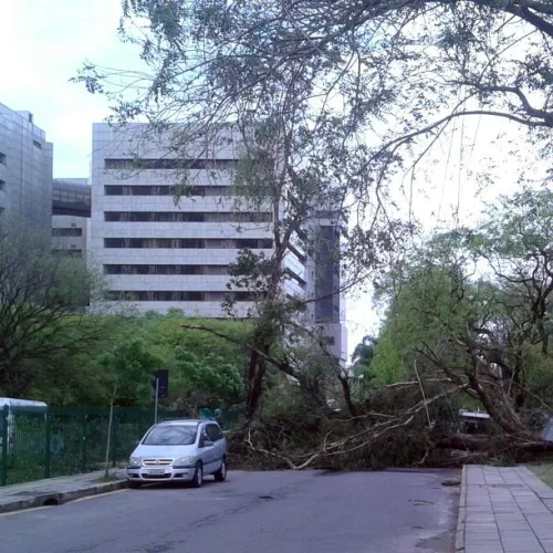 Danos causados por forte temporal em Porto Alegre. Foto: Marina Freitas/PMPA (Arquivo)