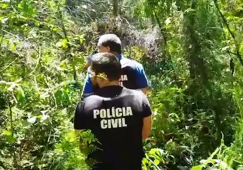 Foto: Polícia Civil / Divulgação