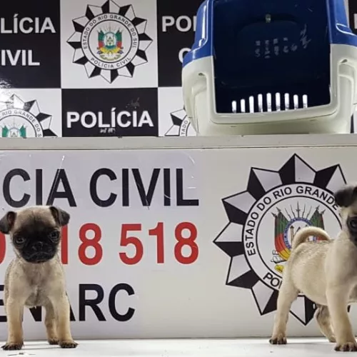 Crédito: Polícia Civil / Divulgação