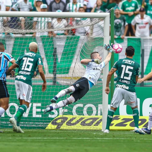 Palmeiras foi superior durante toda a partida. Foto: Lucas Uebel/Divulgação