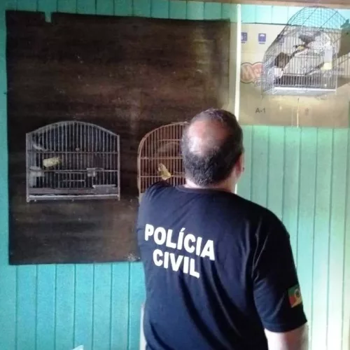 Operação apreendeu 149 aves silvestres em uma residência no bairro Salgado Filho. Foto: Divulgação/Polícia Civil