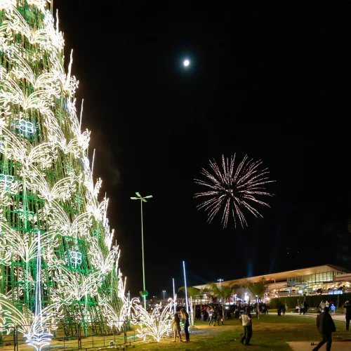 Árvore Iluminada está localizada no Parque Getúlio Vargas. Foto: Vini Dalla Rosa/Divulgação