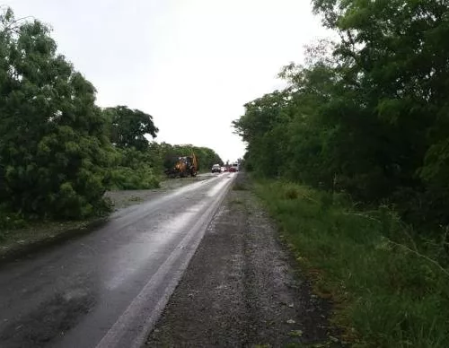 Diversas árvores e postes de energia elétrica caíram entre os km 416 e 420. Foto:  Divulgação/PRF