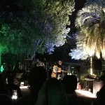 Em meio a diversas árvores, músicos tocam em um evento noturno.