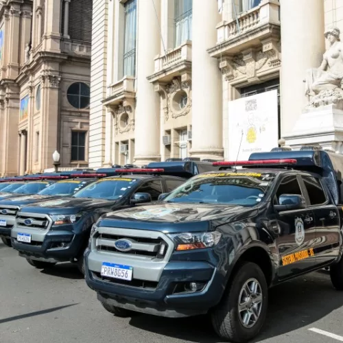 Os veículos serão utilizados por agentes da Susepe de diversos municípios gaúchos. Foto: Gustavo Mansur/Palácio Piratini