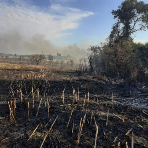 Incêndio em área de  Amambai, MS. Foto: Corpo de Bombeiros de Mato Grosso do Sul / Divulgação