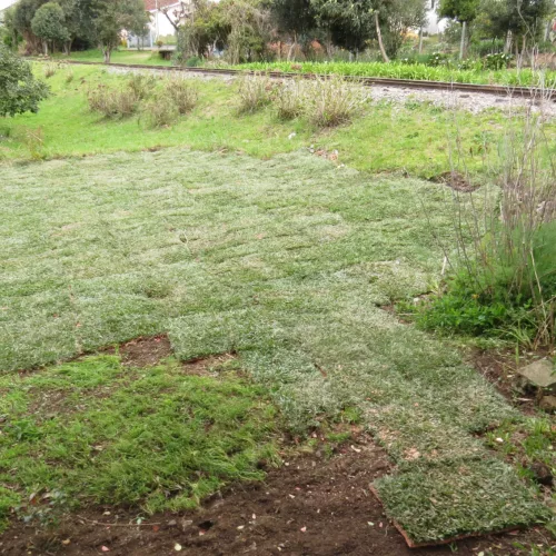 Limpeza dos locais e plantio de vegetação, como gramado, está sendo realizado pela Giordani. Foto: Divulgação 