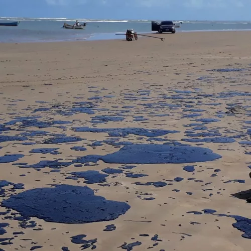 Praia do Forte, Bahia – 19.out.2019 – Toneladas de óleo na praia do Forte no litoral baiano. Foto  Instituto Bioma Brasil