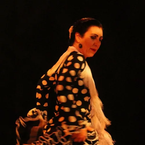 Flamenco, Andrea Franco