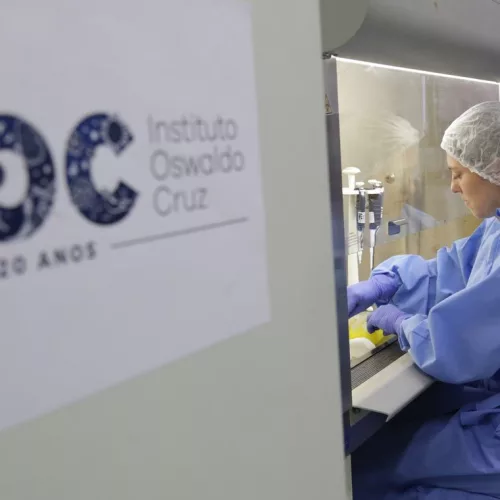 Diagnóstico laboratorial de casos suspeitos do novo coronavírus, realizado pelo Laboratório de Vírus Respiratório e do Sarampo do Instituto Oswaldo Cruz. Foto: Josué Damacena/IOC/Fiocruz