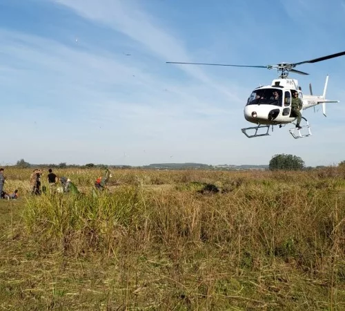Helicópteros da Polícia Civil e da Brigada Militar foram utilizados para eliminar o incêndio na área de preservação ambiental. Foto: Ascom Sema
