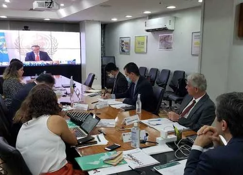 Encontro virtual contou com a participação do diretor da OMS. Foto: Divulgação/Ministério da Saúde