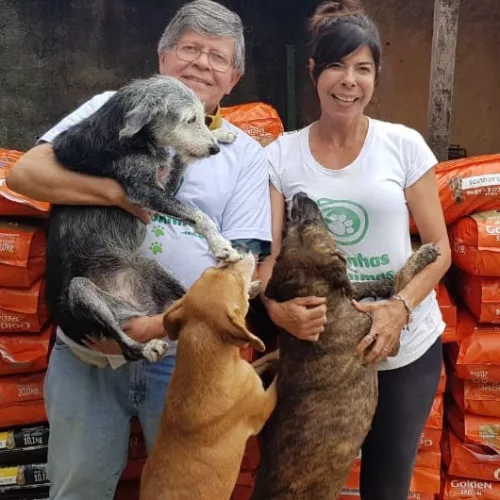No total, 5.804 animais foram beneficiados, entre cães e gatos. Foto: Divulgação