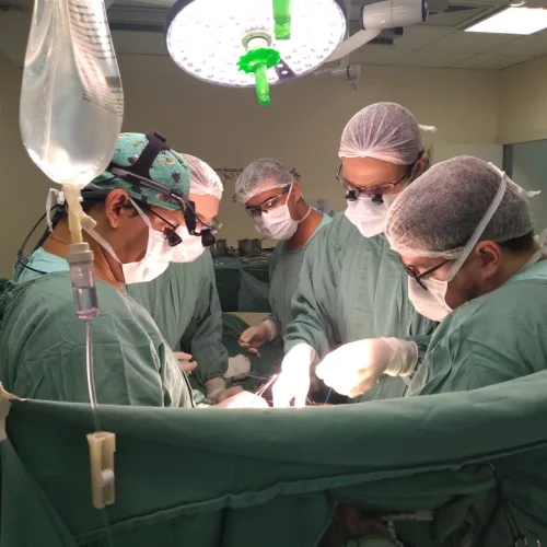 Momento do transplante que ocorreu na última quarta-feira (6). Foto: Divulgação
