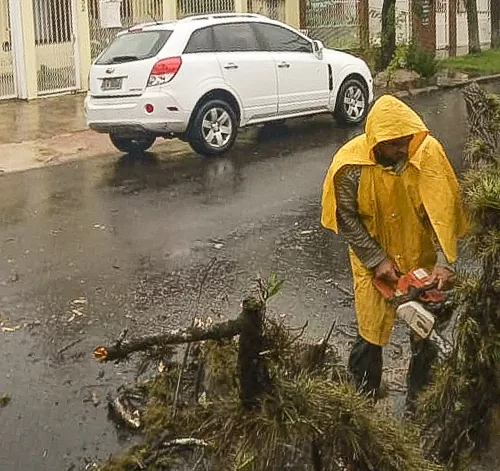 Equipes da SMSUrb trabalham na remoção de árvores caídas devido as fortes chuvas e vento que atingiram Porto Alegre. 
Foto: Divulgação SMSUrb/PMPA