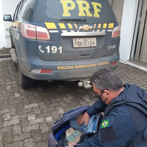 Dinheiro foi apreendido pela Polícia Rodoviária Federal. Foto: Divulgação/PRF