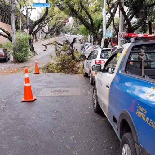 A Smams (Secretaria do Meio Ambiente e Sustentabilidade) foi acionada para retirar as partes da árvore. Foto: Divulgação/EPTC