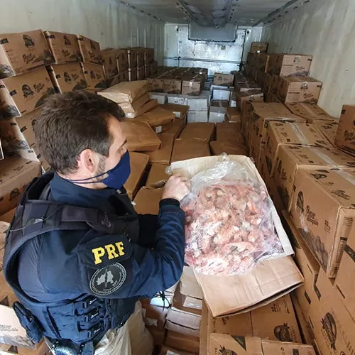 Os policiais encontraram os camarões escondidos em meio a uma carga de batatas em Lajeado. Foto: Divulgação/PRF