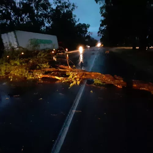 Temporal causou bloqueios em estradas do Sul do Estado por queda de árvores. Foto: Ecosul / Divulgação