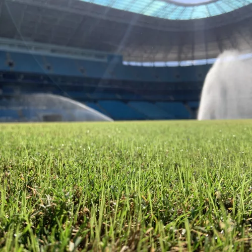 Imagem do gramado da Arena do Grêmio. Foto: Divulgação 