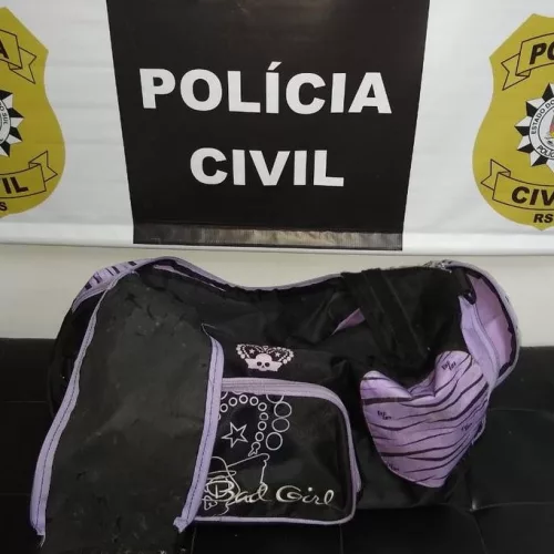 Mala que teria sido usada para levar a criança até o rio Tramandaí. Foto: Polícia Civil / Divulgação