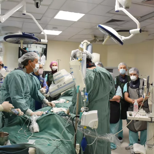Equipe médica no momento do implante. Foto: Vinícios Sparremberger/Hospital Santa Casa