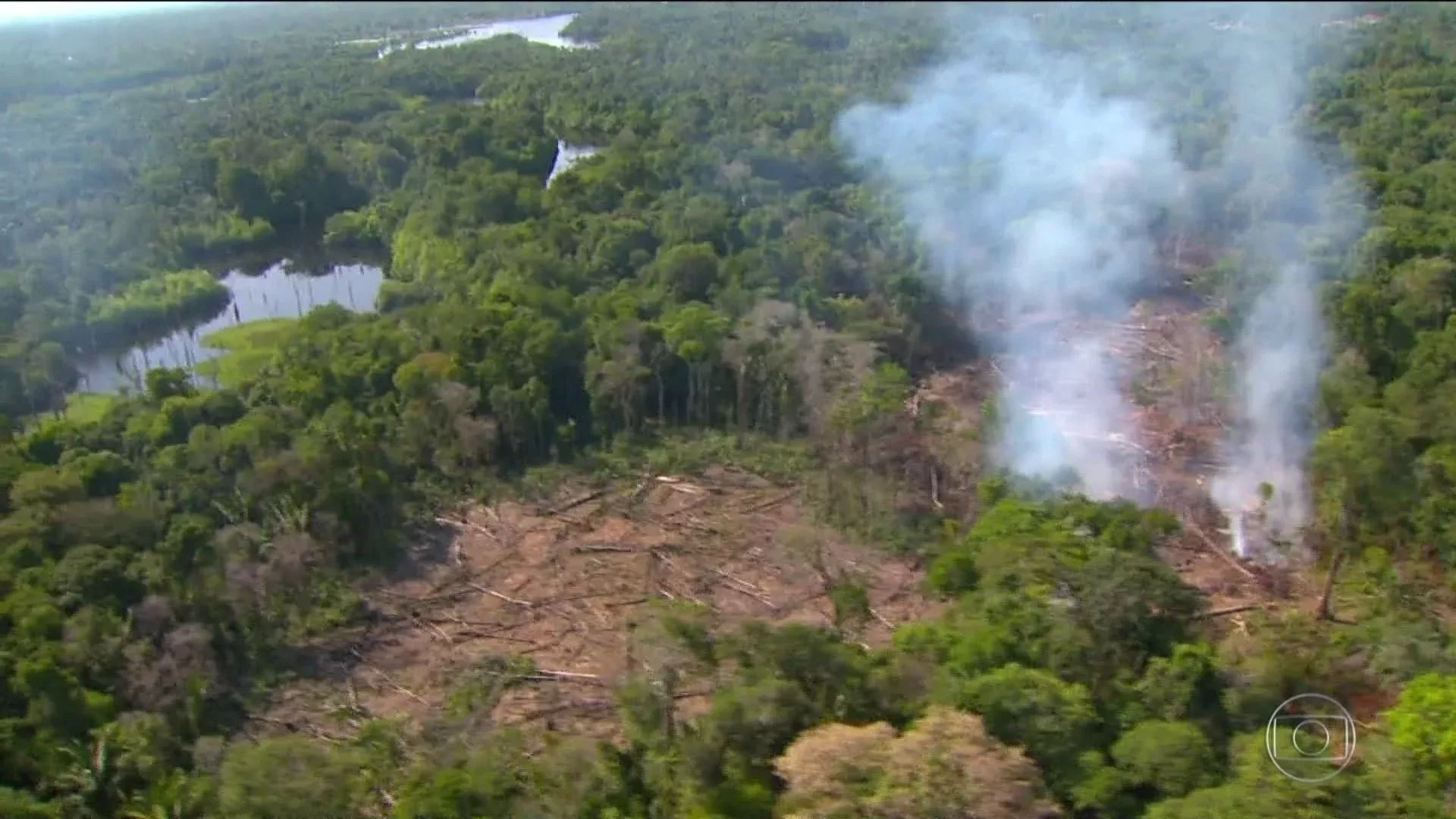Área de floresta é alvo de desmatamento e queima.
