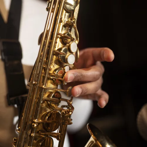  Grandes nomes do jazz estarão em Caxias do Sul nos dias 27, 28 e 29 de maio. Foto: Divulgação 