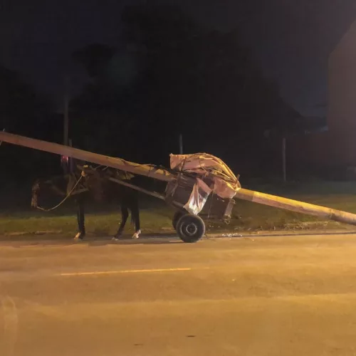Homem carregava o poste em uma carroça. Foto: Divulgação/Prefeitura de Imbé 