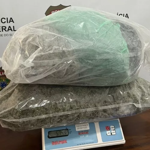 Droga apreendida no Chuí. Foto: Polícia Federal / Divulgação