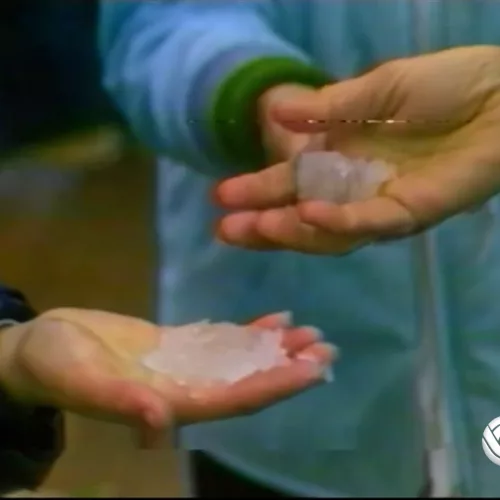 Um adulto e um menino mostram flocos de neve derretendo na mão após registro precipitação invernal em Porto Alegre no ano de 1984.