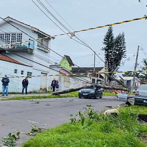 Danos causados pelo temporal em Cachoeirinha. Foto: Weslei Correa / Prefeitura de Cachoeirinha