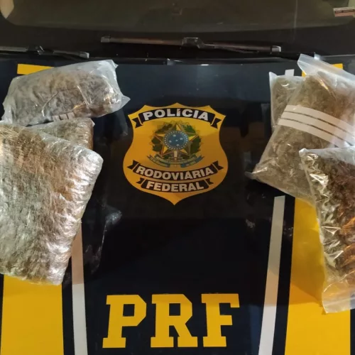 pacotes da droga skunk sobre uma viatura da Polícia Rodoviária Federal