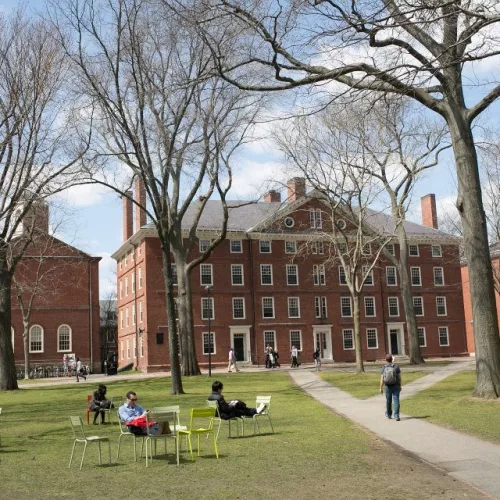 Imagem de Harvard. Foto: Divulgação/Harvard University