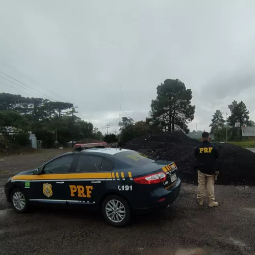 Agentes da PRF foram ao local após denúncias. Foto: Divulgação/PRF