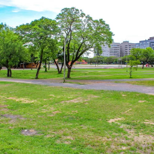 Porto Alegre, RS | 
24/11/2022 | Árvores foram removidas no Parque Harmonia. Foto: Sérgio Louruz/SMAMUS PMPA
