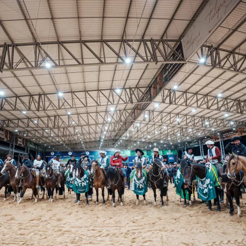 A final do Freio de Ouro ocorreu na estreia da nova Arena Coberta do Cavalo Crioulo. Foto: Maurício Tonetto/Secom
