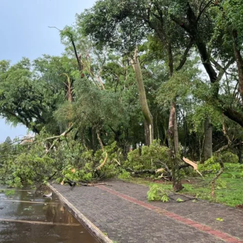 Temporal causou queda de árvores em Santo Ângelo. <a href="https://www.gruposepe.com.br/index.php?m=noticia&a=detail&id=18941" target="_blank" rel="nofollow noopener"><strong>Crédito: Grupo Sepé</strong></a>