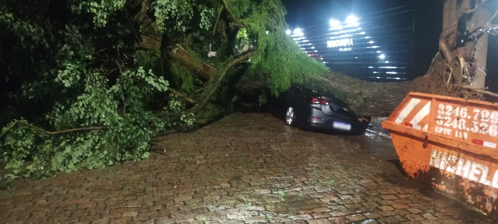 Queda de árvore ocorreu durante temporal em Porto Alegre.