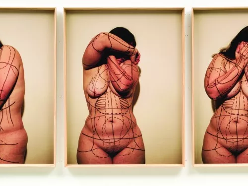 Imagem: Marcela Tiboni - Estudo para desenho do corpo feminino, 2006